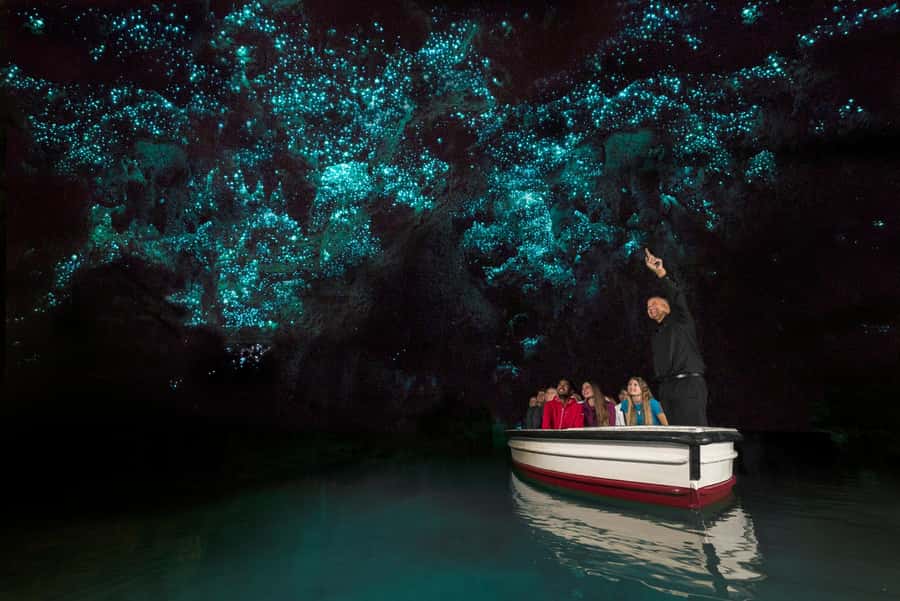 Auckland: Hobbiton & Waitomo Glow Worm Caves Private Tour - Timing and the full-day reality: how 11 hours works for most people