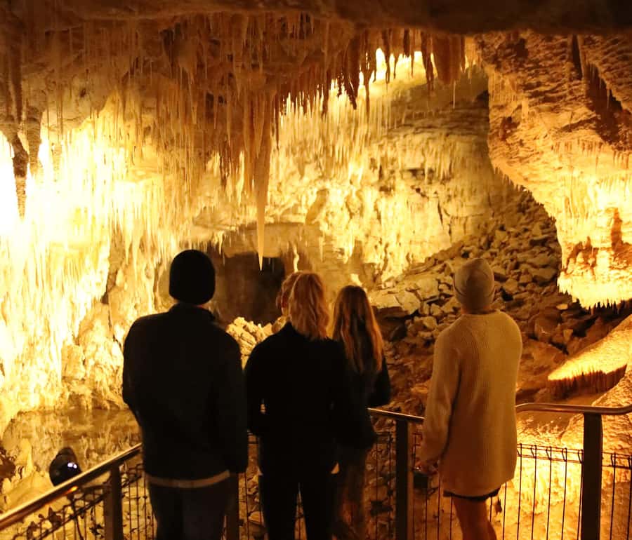 Auckland: Hobbiton & Waitomo Glow Worm Caves Private Tour - Who should book this private tour and who should skip it
