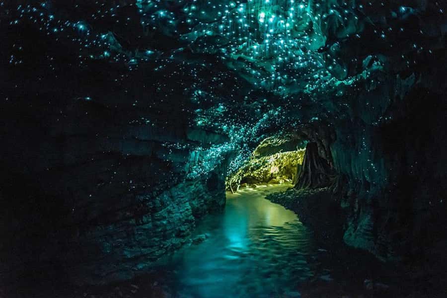 Auckland: Hobbiton & Waitomo Glow Worm Caves Private Tour - Practical tips: shoes, weather, and keeping the day smooth