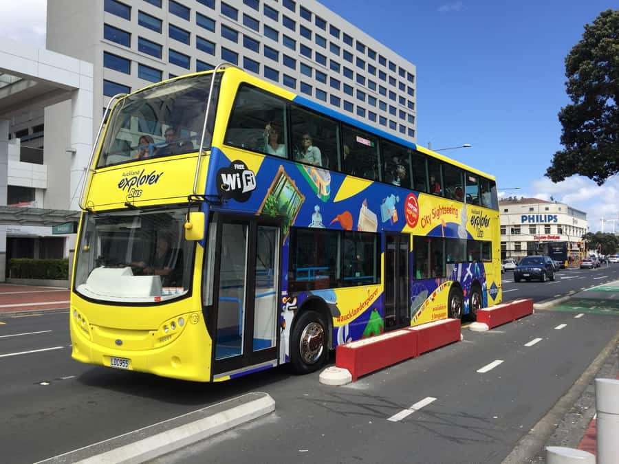 Auckland: Hop-On Hop-Off Explorer Bus Ticket - Summer Bonus Blue Tour: Auckland Zoo, MOTAT, and Mt Eden (Oct–Apr)