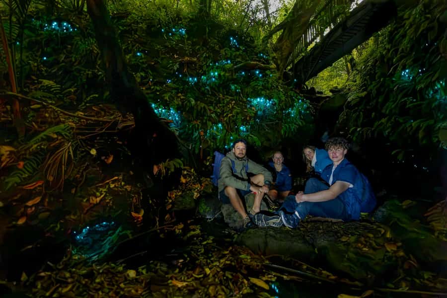 Auckland: Inner-City Glowworm Experience in Ancient Volcano - Key takeaways before you go