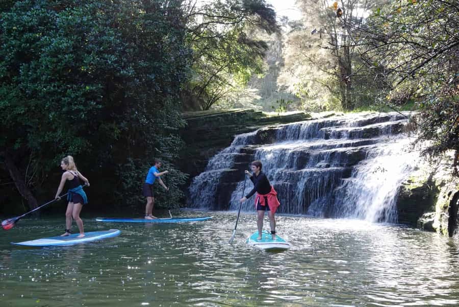 Auckland: Lucas Creek Waterfall SuP Tour - Key things to know before you paddle Lucas Creek
