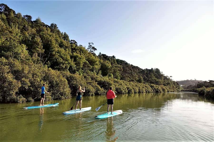 Auckland: Lucas Creek Waterfall SuP Tour - Why Lucas Creek on an Auckland SUP is more than a workout