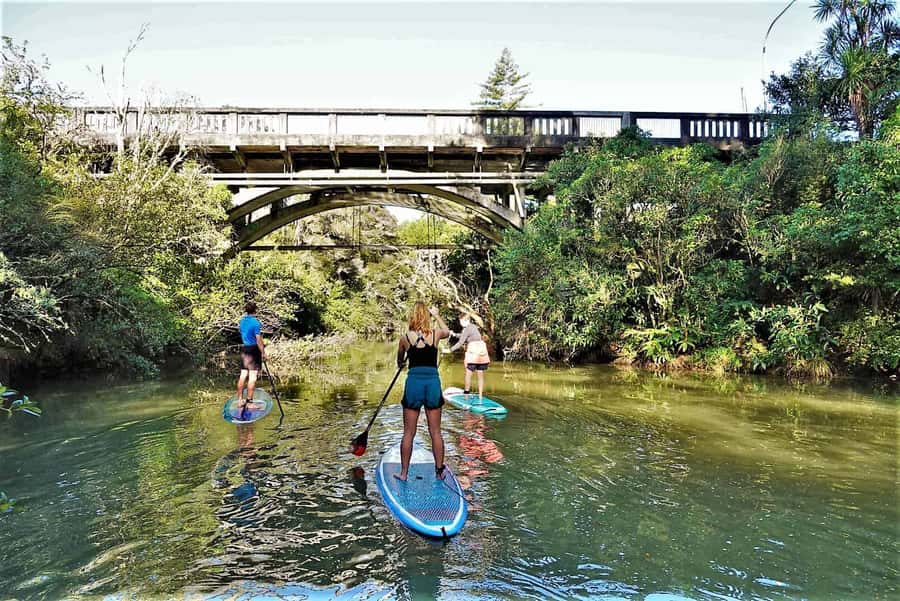 Auckland: Lucas Creek Waterfall SuP Tour - Paddling Albany’s sheltered waterways: mangroves, wildlife, and quiet time