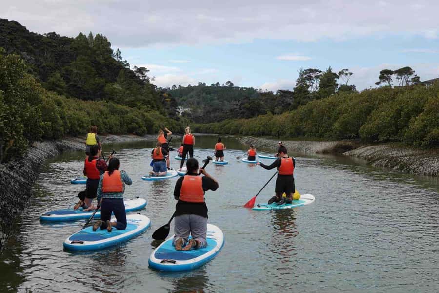 Auckland: Lucas Creek Waterfall SuP Tour - Wharf Road meet-up: the 30-minute setup that makes or breaks SUP days
