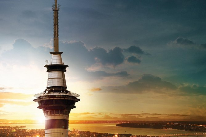 Auckland Māori Culture Experience - Private Tour - Bastion Point: coastal views paired with land and protest history