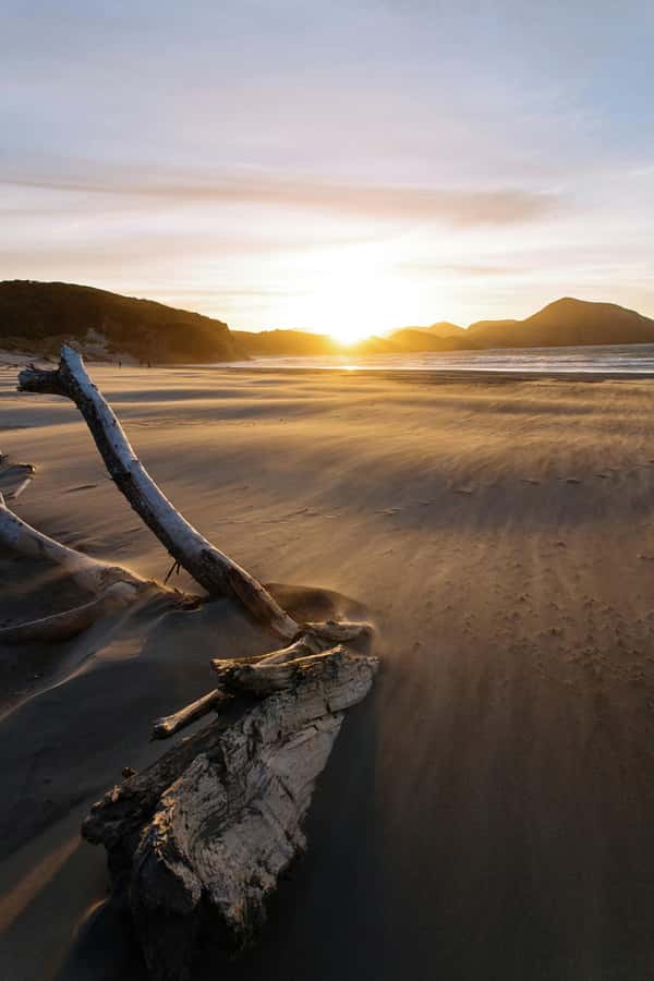 Auckland: Mt. Eden, Piha Beach & Karekare Private Tour - Key highlights that make this tour worth your time