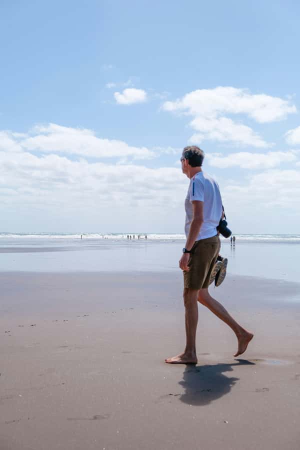 Auckland: Mt. Eden, Piha Beach & Karekare Private Tour - Why this volcano-to-beach-to-falls route makes sense from Auckland