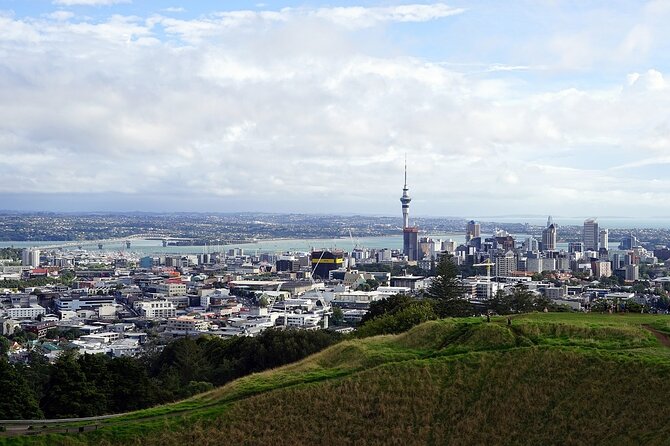 Auckland Museum and Highlight Sightseeing Tour - Stop 4: Winter Gardens in Auckland Domain for a calmer finish