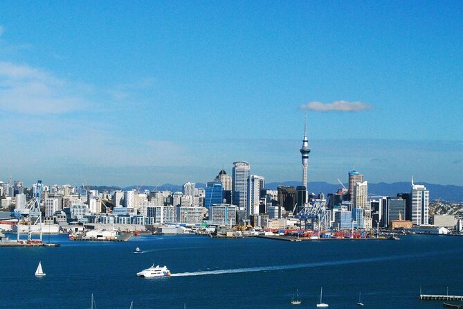 Auckland Museum and Highlight Sightseeing Tour - Price and value: what $111.70 really buys you