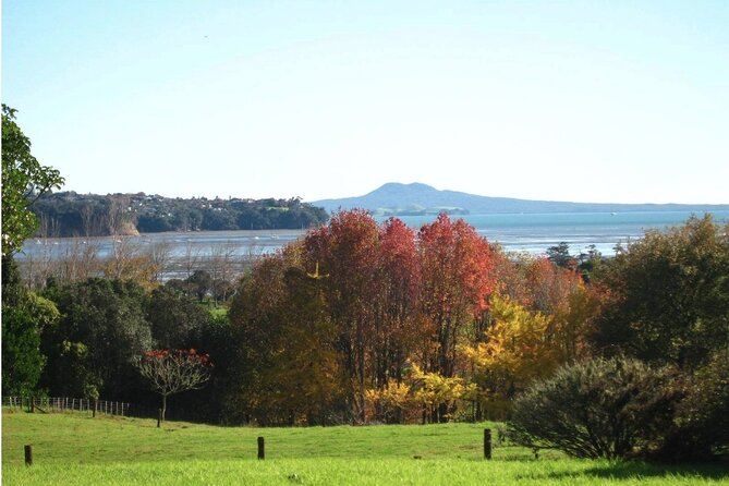 Auckland Nature Tour - Why this Auckland nature tour feels different from a standard sightseeing day