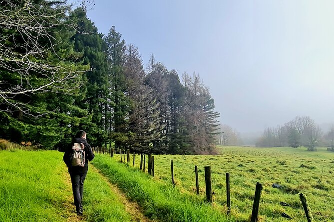 Auckland Nature Tour - One Tree Hill: shade, animals, and a break from city noise