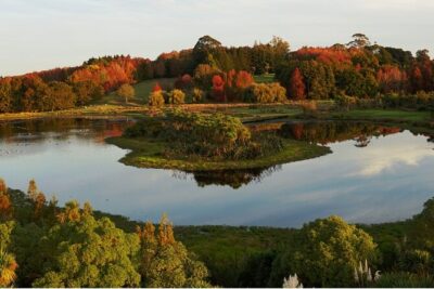 Auckland Nature Tour - Ayrlies Garden & Wetlands: the guided walk that sets the tone
