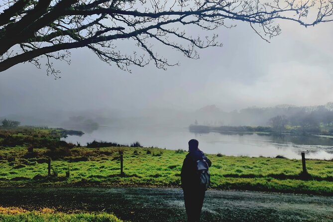 Auckland Nature Tour - The 330-minute pace: what “small group” changes