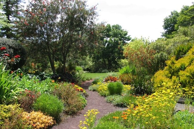 Auckland Nature Tour - Guides, weather, and the photo-and-video moments that matter