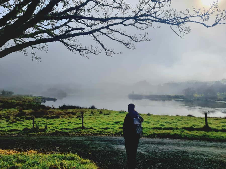 Auckland Nature Tour - Price and value: is $191 per person worth it?