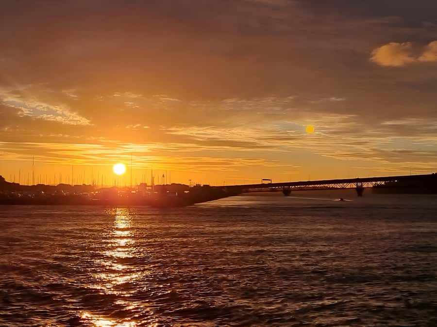 Auckland: Nightlights Harbour Cruise with Canapés and Drink - Price and value: is $38 worth it?
