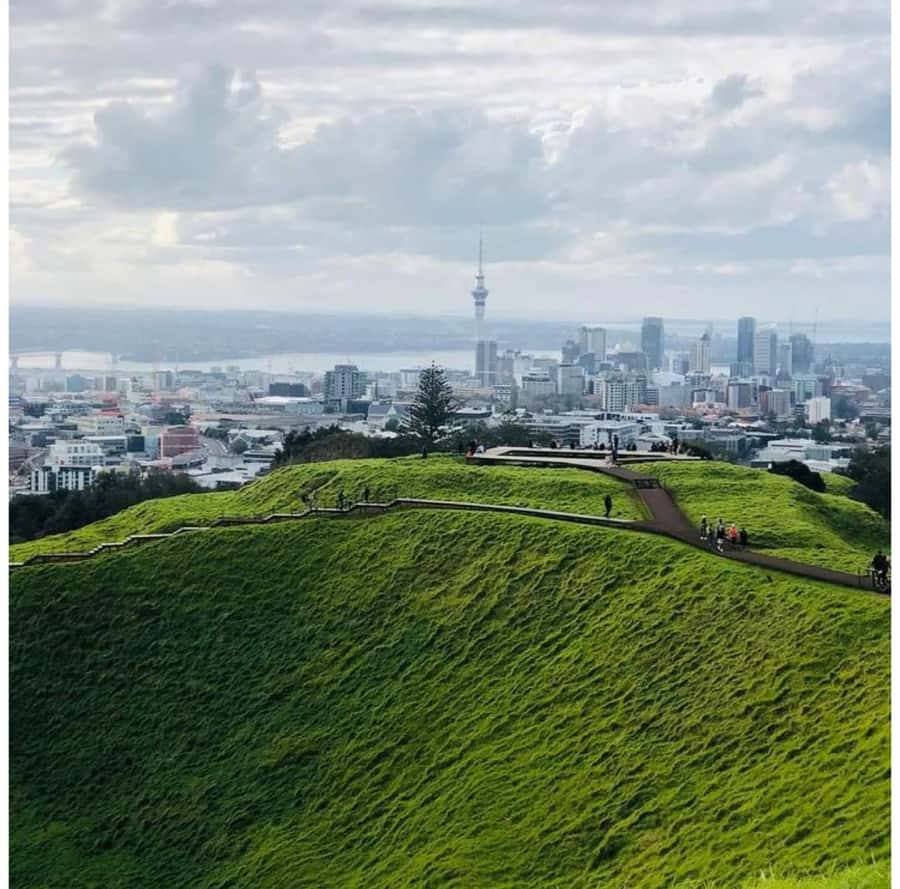 Auckland: Piha Beach, Rainforest, & Mount Eden Private Tour - Key things you’ll notice on this private Auckland day