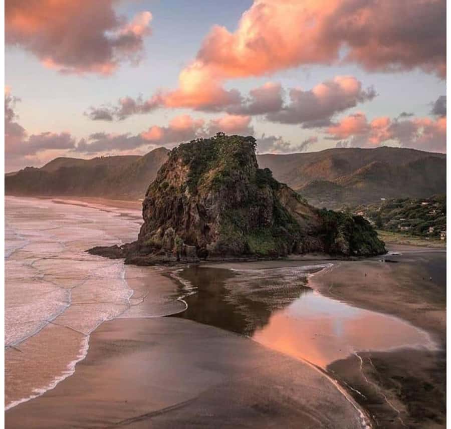 Auckland: Piha Beach, Rainforest, & Mount Eden Private Tour - The Waitākere–Piha–Mt Eden combo makes Auckland feel wilder