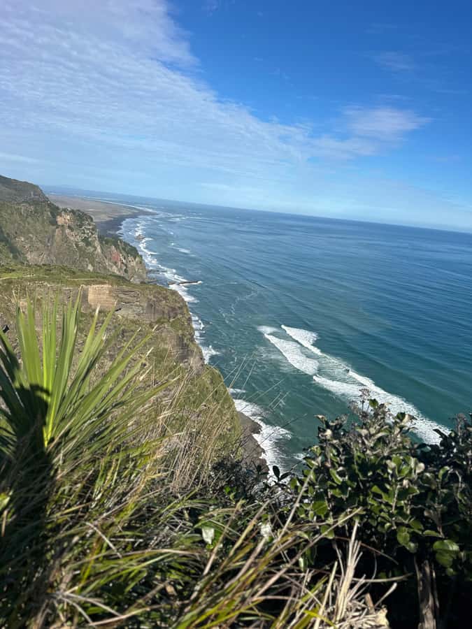 Auckland: Piha Beach, Rainforest, & Mount Eden Private Tour - Price and timing: how $262 fits a private 5-hour day