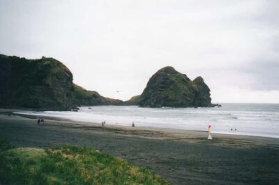 Auckland Private Tour: West Coast Wilderness & Piha Beach - Pick-up options and how the 7 hours really works