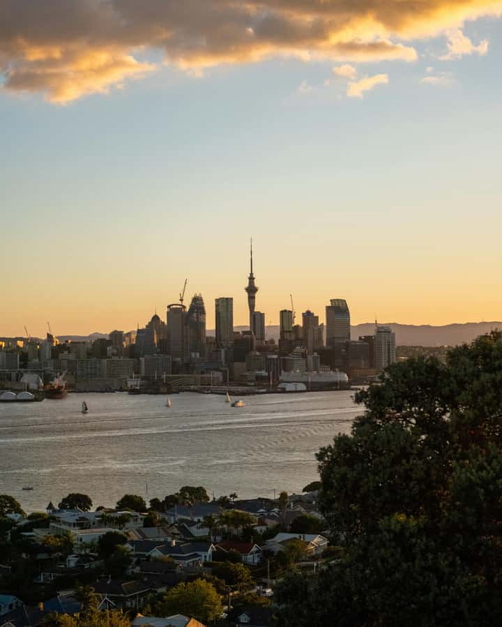 Auckland Private Tour: West Coast Wilderness & Piha Beach - Waitākere Ranges viewpoints: scenic stops without the hiking pressure