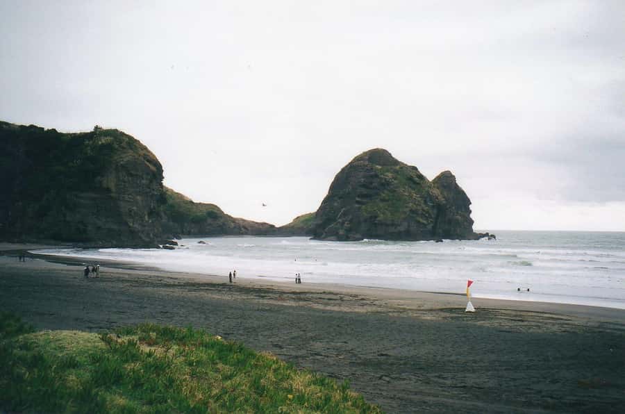 Auckland Private Tour: West Coast Wilderness & Piha Beach - Pick-up options and how the 7 hours really works