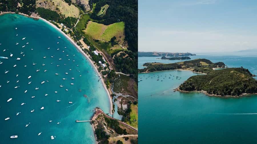 Auckland: Rotoroa Island and Man O'War Vineyard Combo Tour - Key points to know before you go
