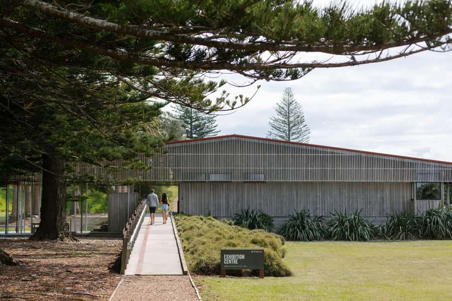 Auckland: Rotoroa Island and Man O'War Vineyard Combo Tour - Rotoroa Island: walking tracks, wildlife, and beach time that feels real