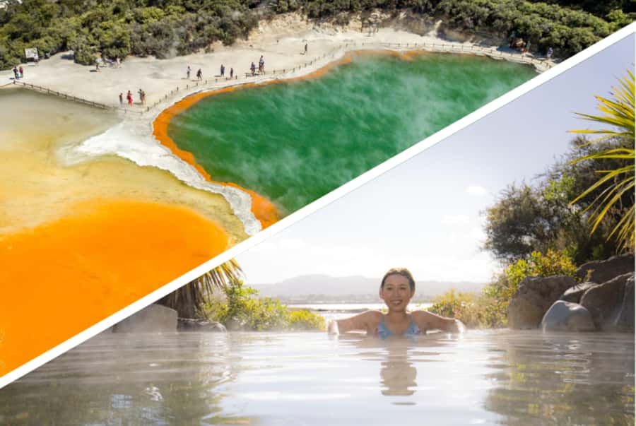 Auckland: Rotorua Highlights inc Wai-O-Tapu & Polynesian Spa - Waikato to Tirau: The Road Trip Part You Shouldn’t Rush