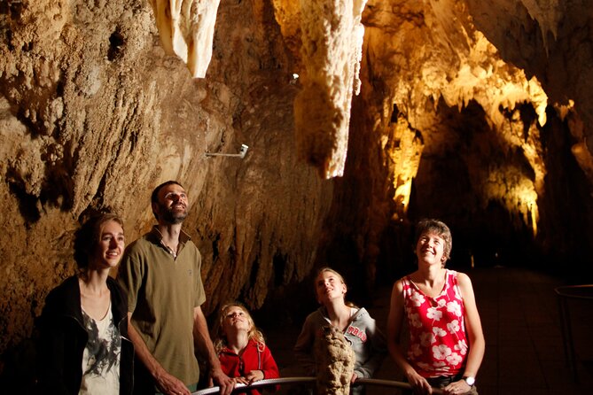 Auckland: Rotorua Māori Village, Waitomo Caves & Lunch - Waitomo Glowworm Caves: the silent boat ride under thousands of lights
