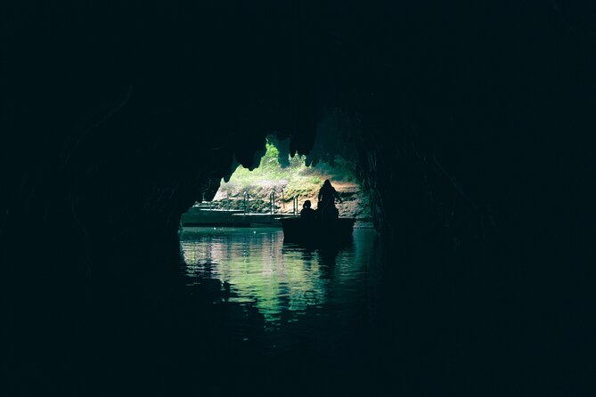 Auckland: Rotorua Māori Village, Waitomo Caves & Lunch - Price and logistics: is $257.54 good value?