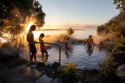 Auckland: Rotorua Te Puia with Haka & Polynesian Spa Small Group - Te Puia at Whakarewarewa Thermal Valley: geothermal drama with context