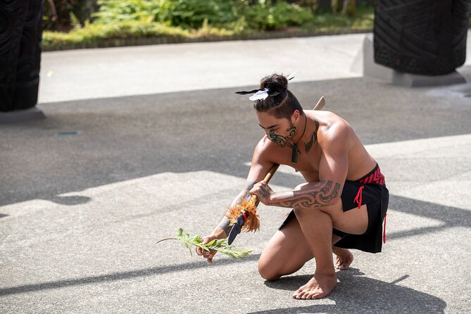 Auckland: Rotorua Te Puia with Haka & Polynesian Spa Small Group - Price and value: is $245.13 a smart deal?