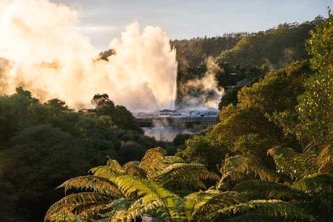 Auckland: Rotorua Te Puia with Haka & Polynesian Spa Small Group - Who this tour suits best (and who should think twice)