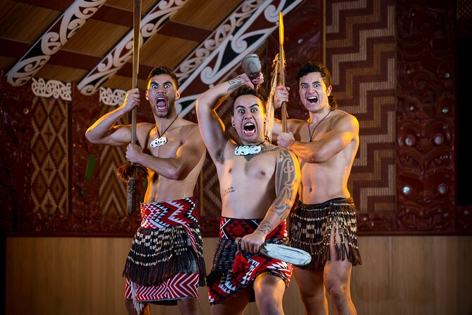 Auckland: Rotorua Te Puia with Haka & Polynesian Spa Small Group - Should you book: my practical call