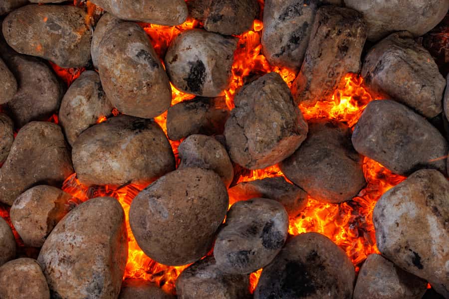 Auckland: Rotorua Tour with Mitai Māori Village & Wai-O-Tapu - The powhiri, haka, poi, and war canoe moments you’ll remember