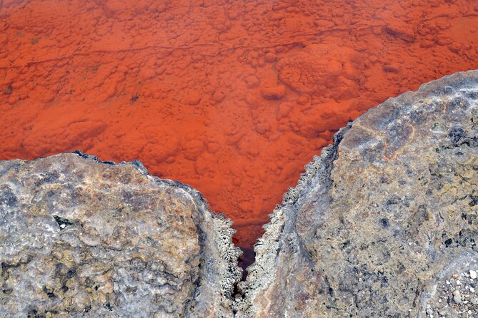 Auckland: Rotorua Tour with Waiotapu, Te Puia and Maori Haka - What you get for $245.13: value check that goes beyond math