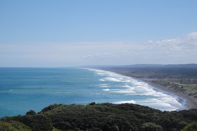 Auckland Scenic Day Tour Full-Day- 8 HOURS - Auckland in 8 Hours: What This Tour Does Better Than DIY