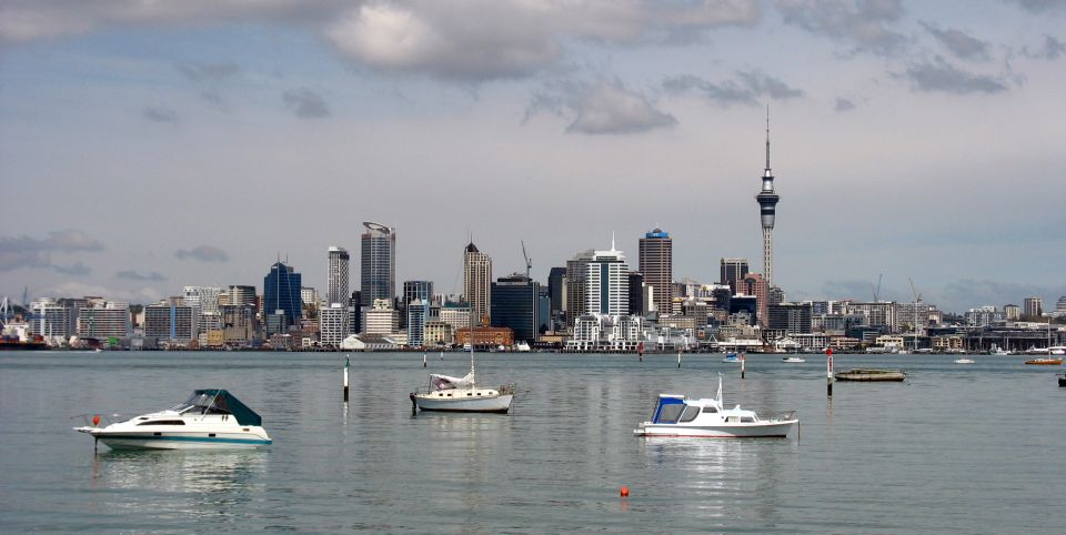 Auckland Scenic Half-Day City Sightseeing Tour - Who this tour is best for (and who should skip it)
