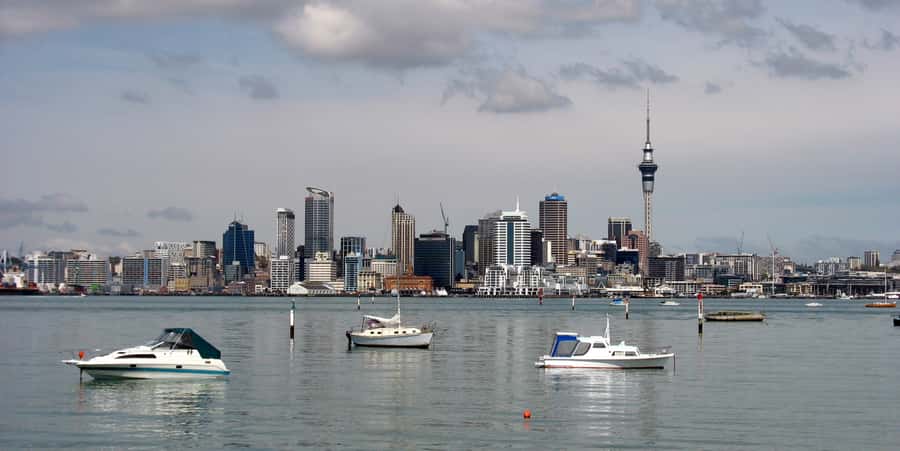 Auckland Scenic Half-Day City Sightseeing Tour - Starting at 99 Quay Street: the easiest waterfront meet-up