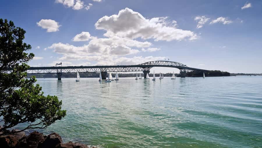 Auckland Scenic Half-Day City Sightseeing Tour - Price and timing: is $44 good value for a 4-hour tour?