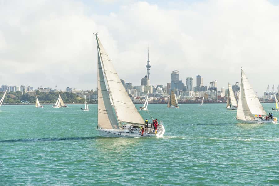 Auckland Scenic Half-Day City Sightseeing Tour - Westhaven Marina and the Viaduct area: Auckland’s water at first glance