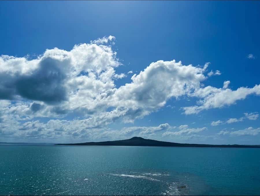 Auckland: Scenic Harbour Cruise with Live Commentary - Price and Value: Why $17 Can Make Sense in Auckland