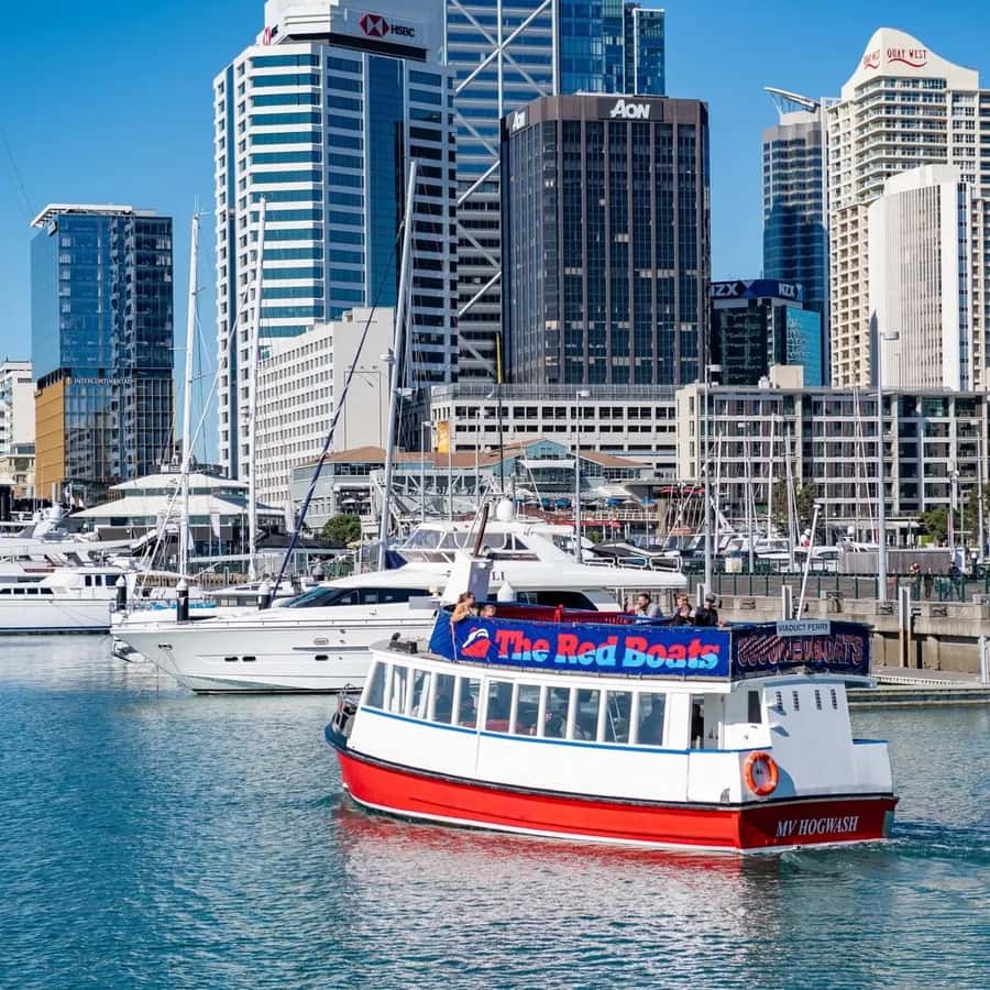 Auckland: Scenic Harbour Cruise with Live Commentary - Getting There and Timing Tips That Actually Help