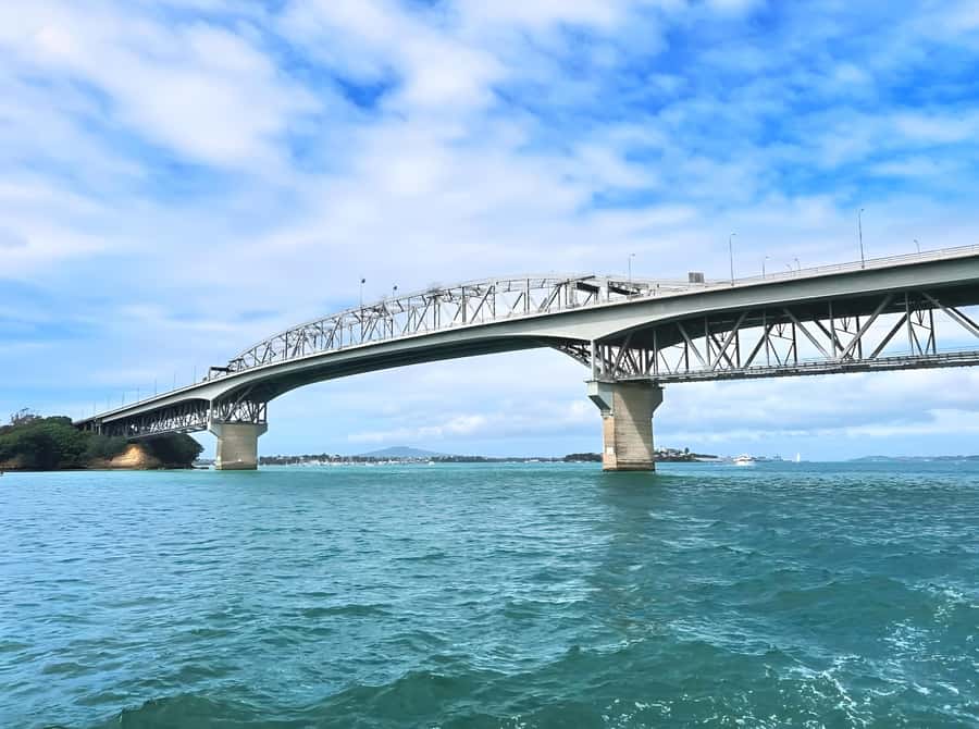 Auckland: Scenic Wine and Cheese Harbour Cruise - Auckland Harbour, 90 minutes, and a cheese board at sea