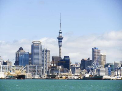 Auckland: Scenic Wine and Cheese Harbour Cruise - What’s in your wine-and-cheese box (and why it’s good value)