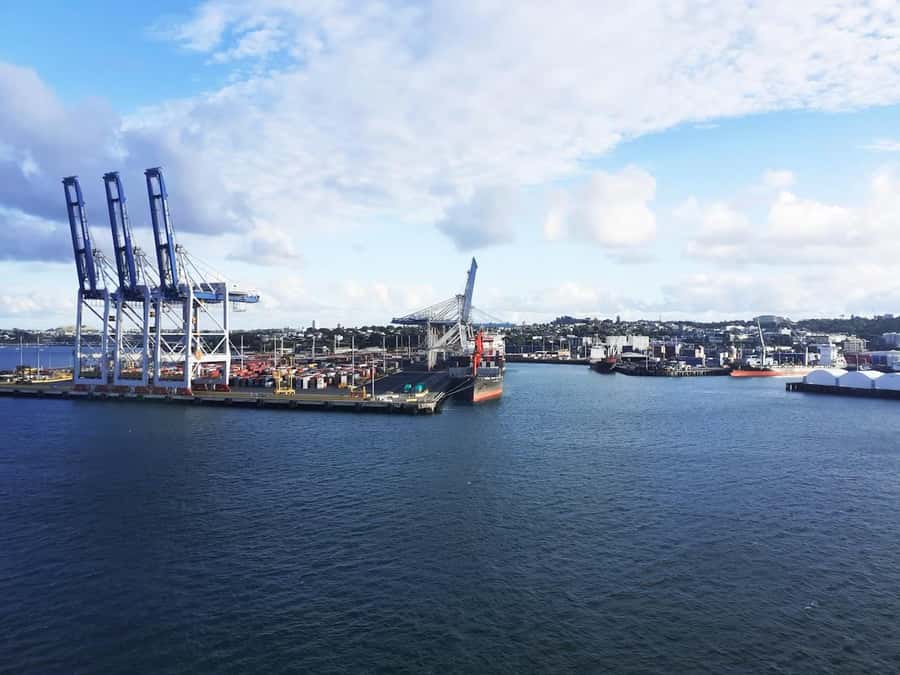 Auckland: Scenic Wine and Cheese Harbour Cruise - Getting your timing right from Westhaven Marina (Z Pier, Red Boats)