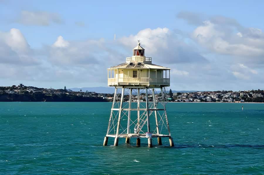 Auckland: Scenic Wine and Cheese Harbour Cruise - Who should book this cruise?