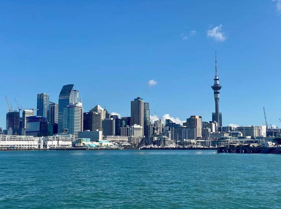 Auckland: Scenic Wine and Cheese Harbour Cruise - Should you book the Auckland Scenic Wine and Cheese Harbour Cruise?